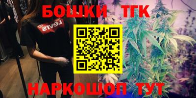 индика Коммунар