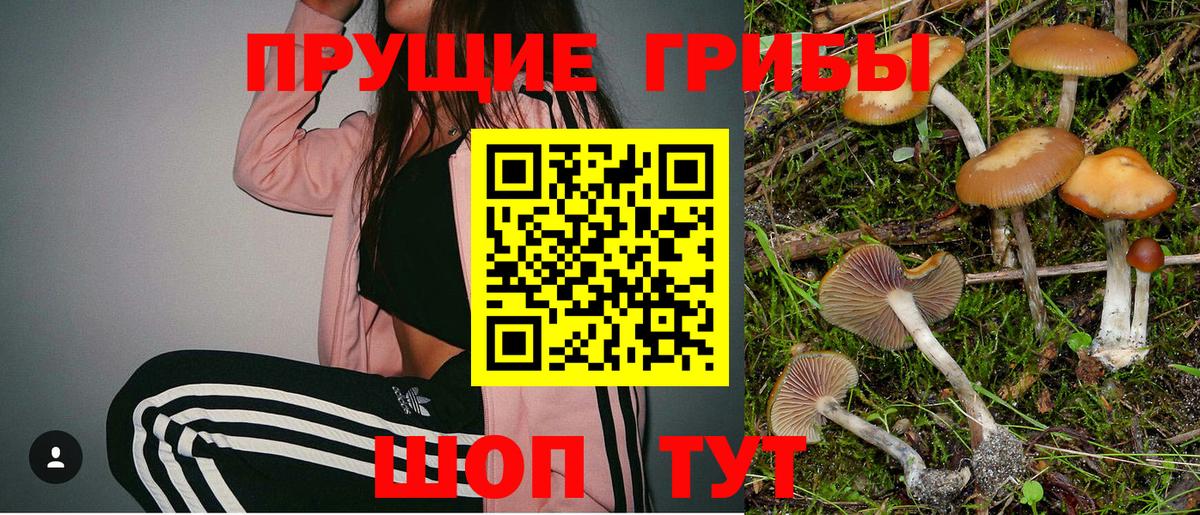 Каменск-Шахтинский  Галлюциногенные грибы мухоморы  Вход с VPN 